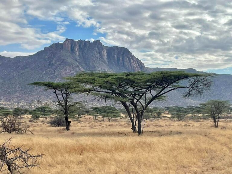 Kenyan pastoralists fight for a future adapted to climate change