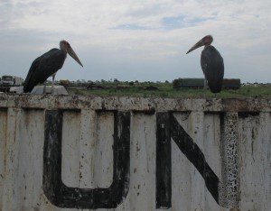 The filth of the UN camp in Bentiu