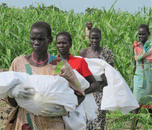 The women walk through the high vegetation to the graves