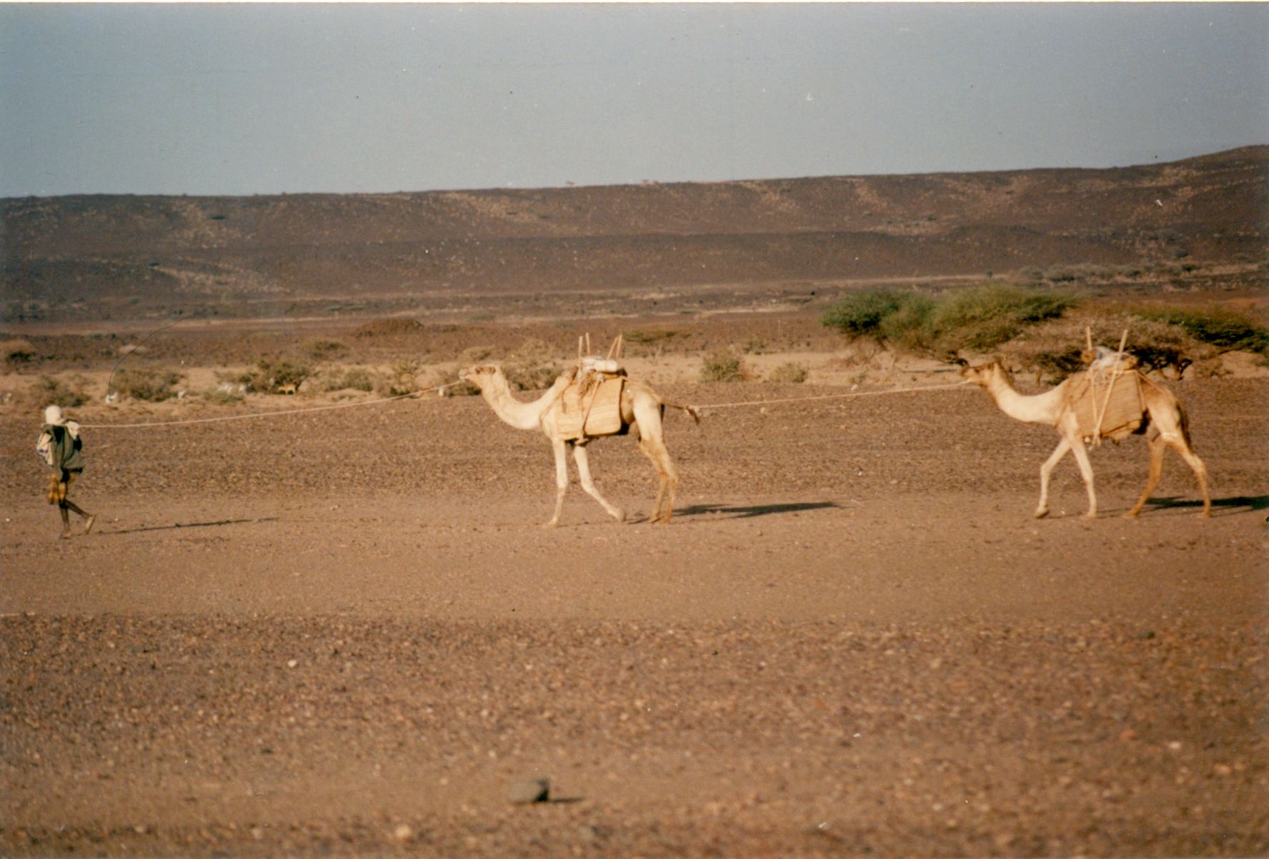 Djibouti 1991