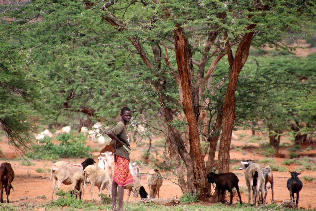 Samburu county