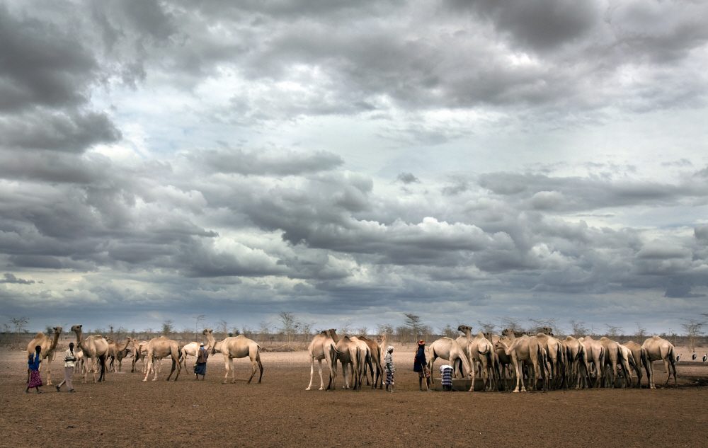 Kenya, Wajir