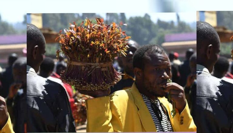 Banning khat in Kenya will not work