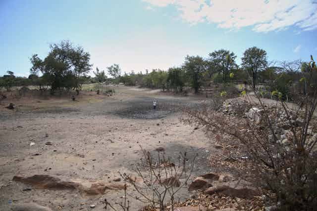 Drought is devastating southern Africa’s crops: why it’s happening and what can be learned