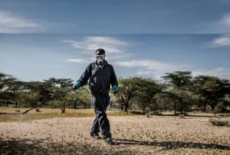 How the US agrochemical lobby is meddling in the future of Kenyan farming