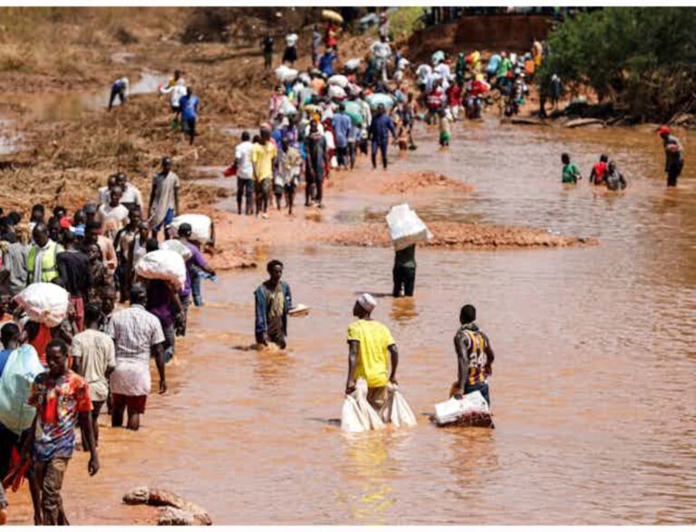 Traditional weather forecasts: expert shares 5 ways Africa’s coastal residents predict floods