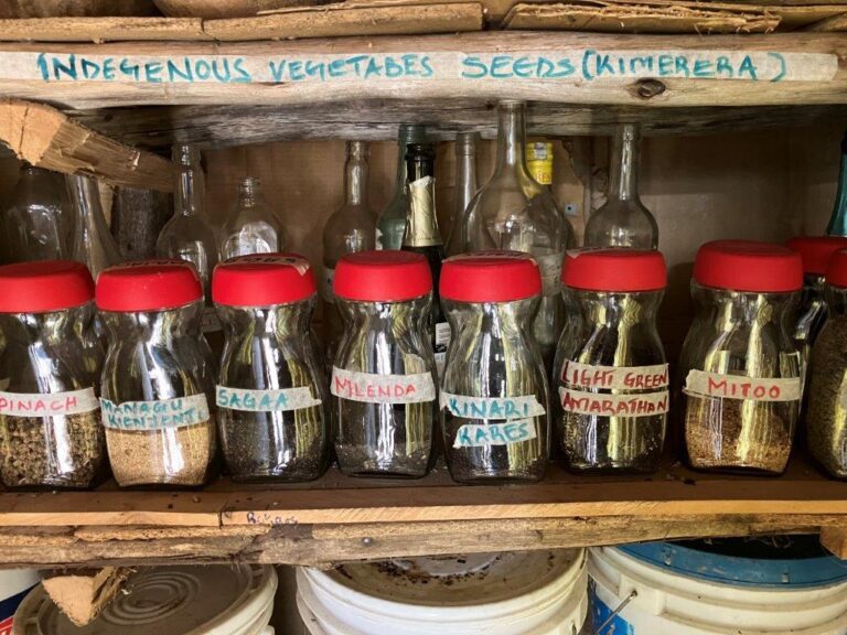 We must safeguard our native seeds