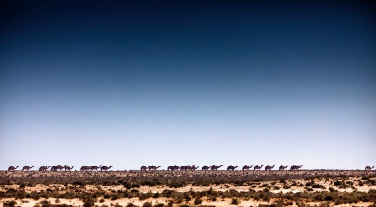 A new way forward is needed for Somalia