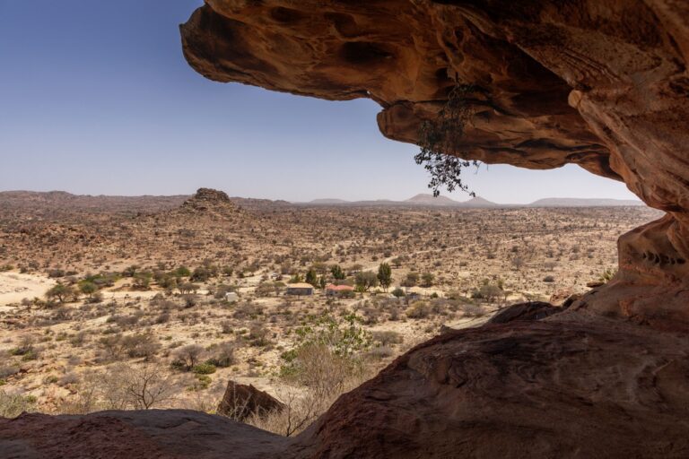 Ayan Mahamoud, the eternal activist from the Netherlands and Somaliland