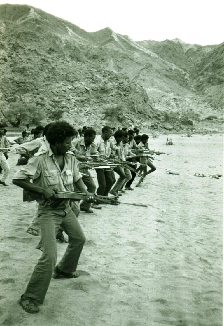 The book “Emergent Eritrea” accurately captured the optimism and illustrates how many of those hopes have dissipated